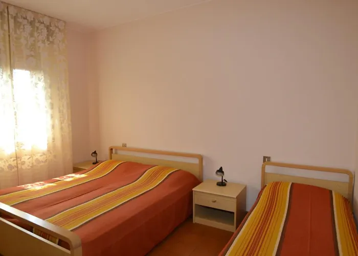 Orchidea * 비비오네